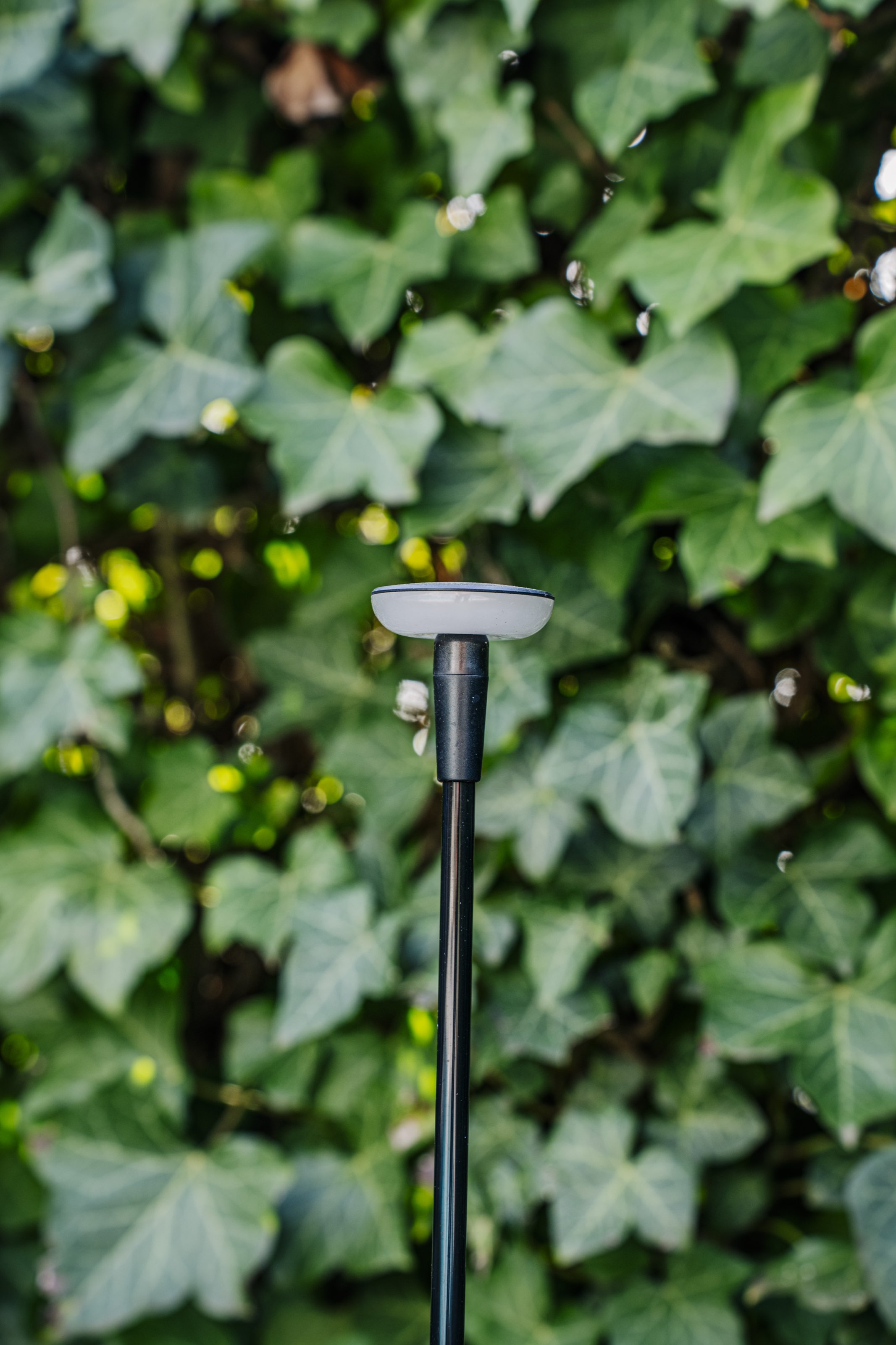 Planzeichnung Gartenanlage