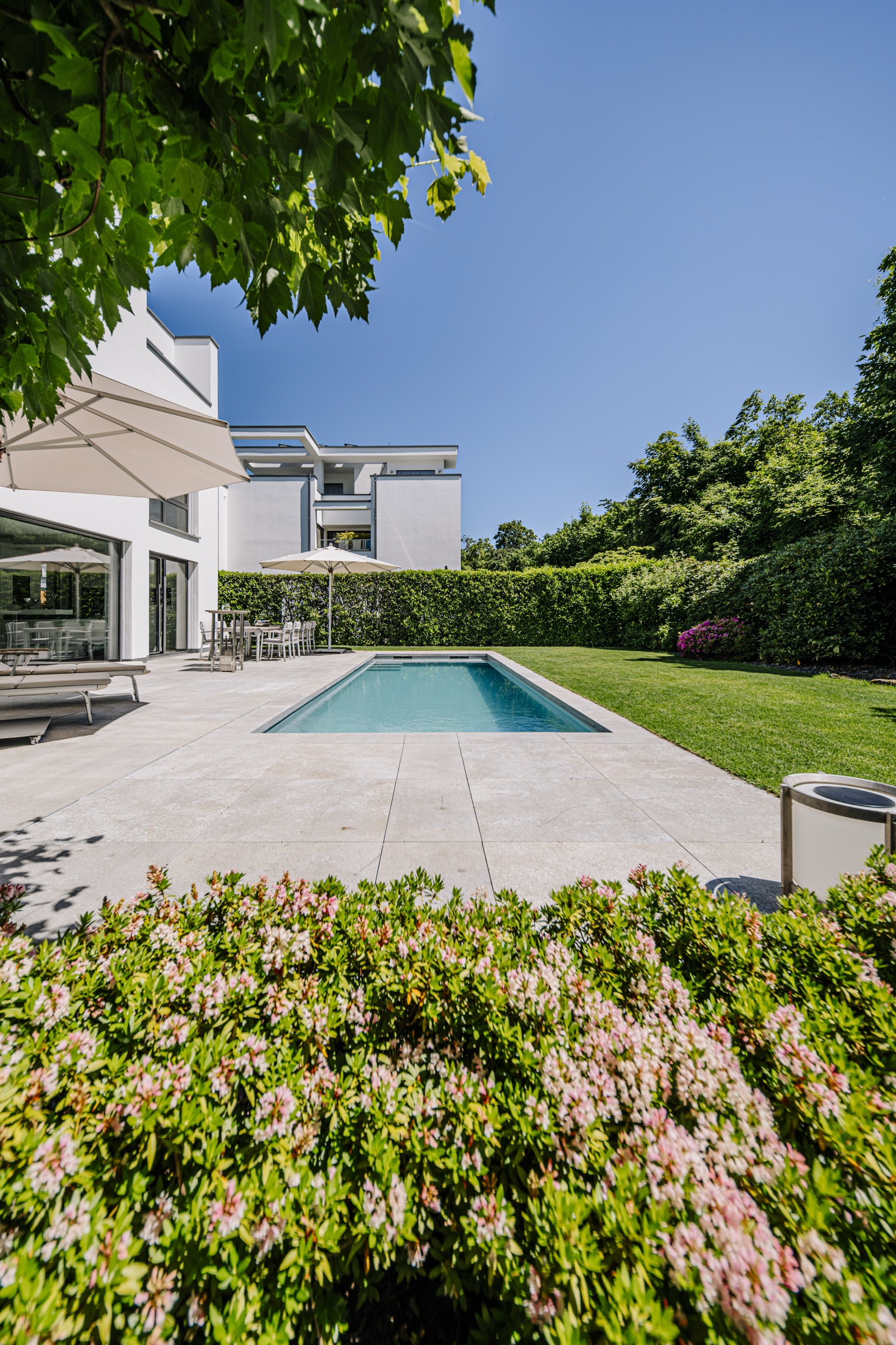 Projekt Provence — Pool im Bestandsgarten