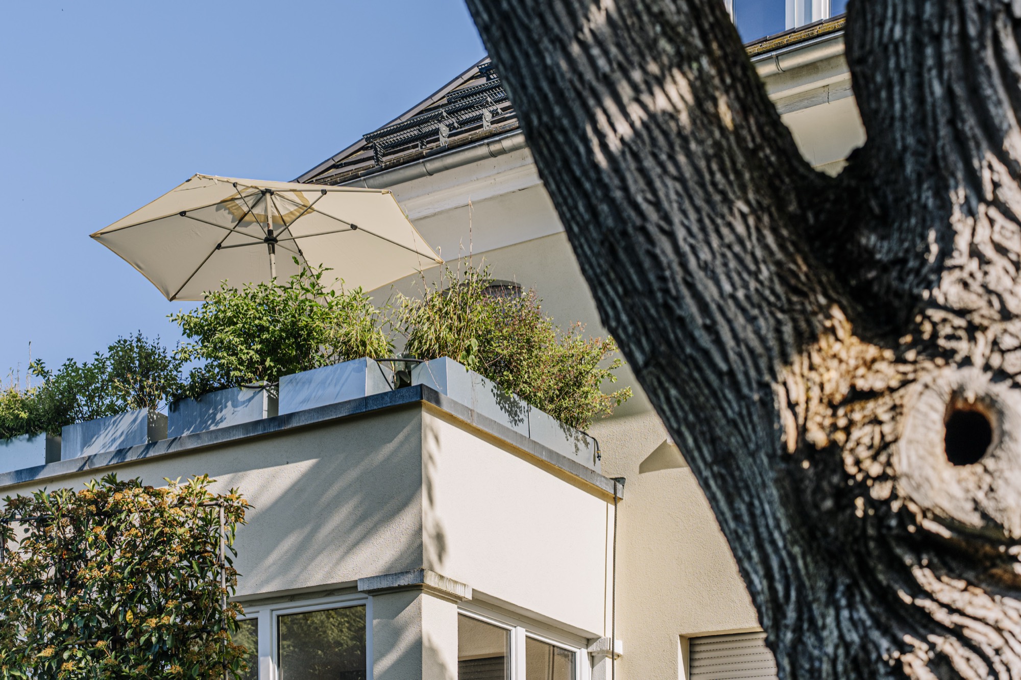 Projekt Bergparadies — Detail