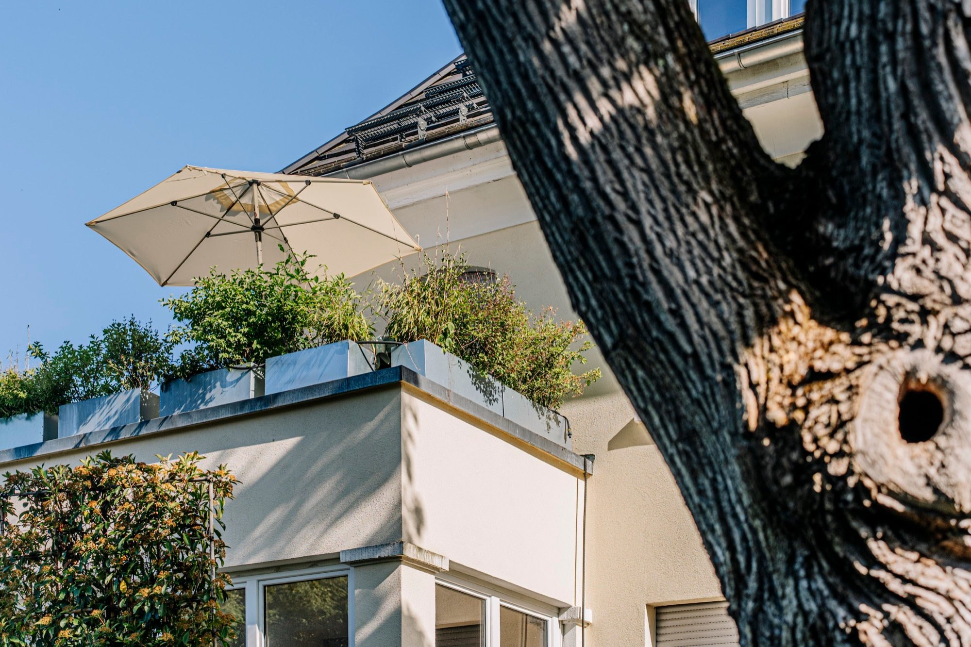 Projekt Bergparadies — Detail