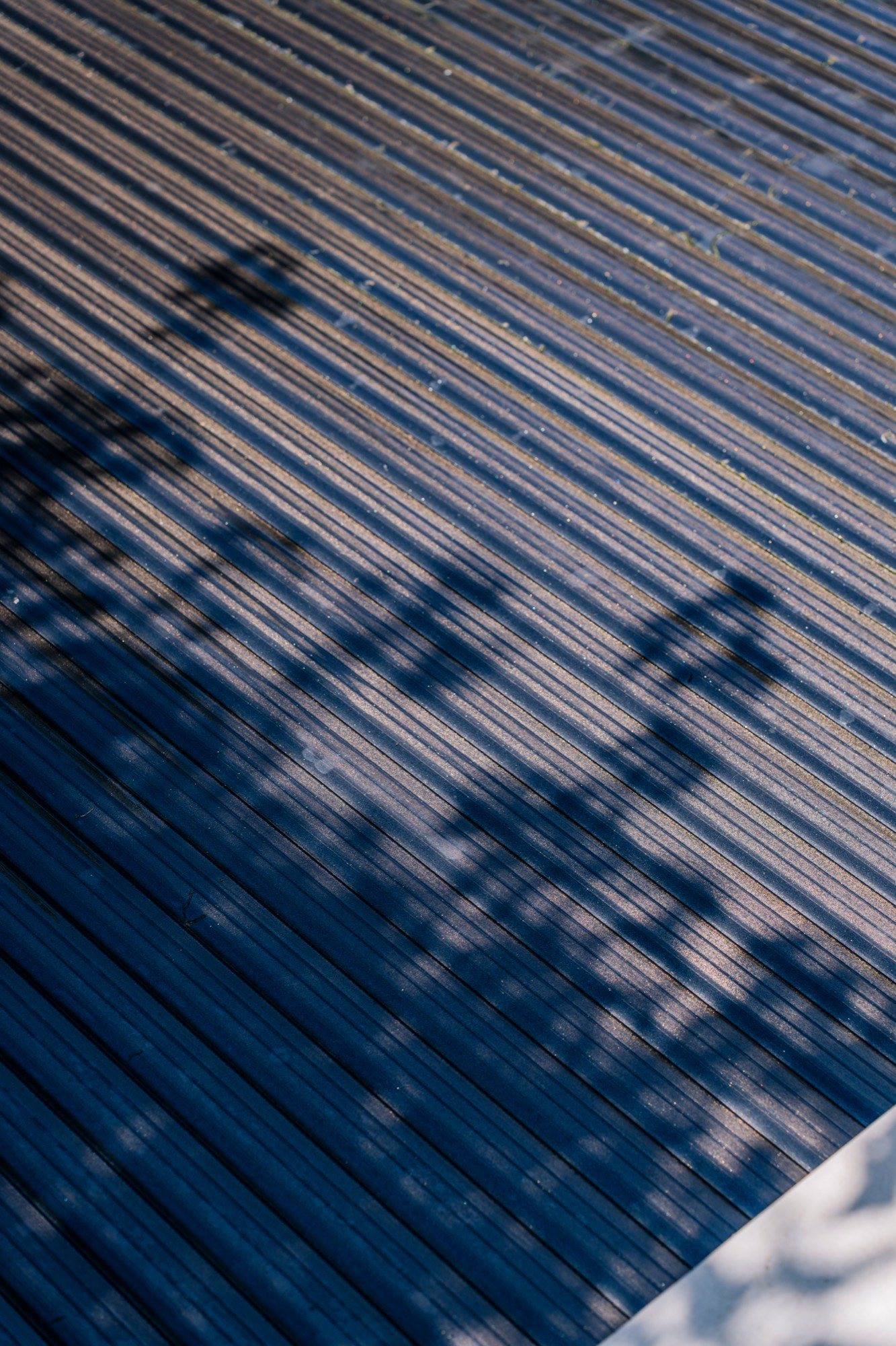Projekt Kronberg — Detail
