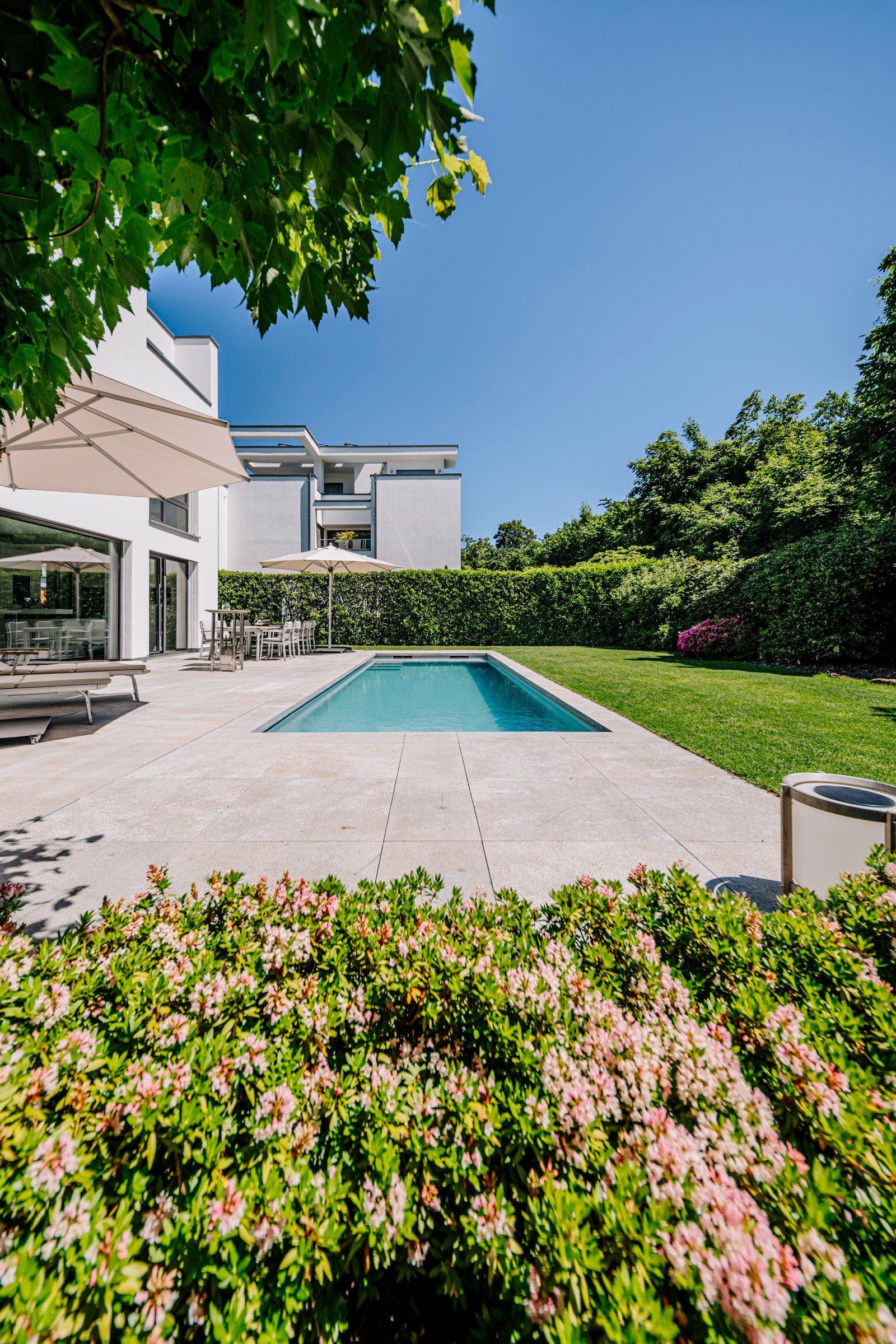 Projekt Provence