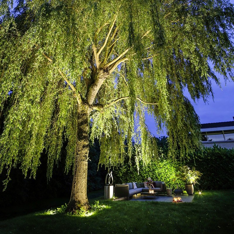 Beleuchteter Garten am Abend — Rhein-Main