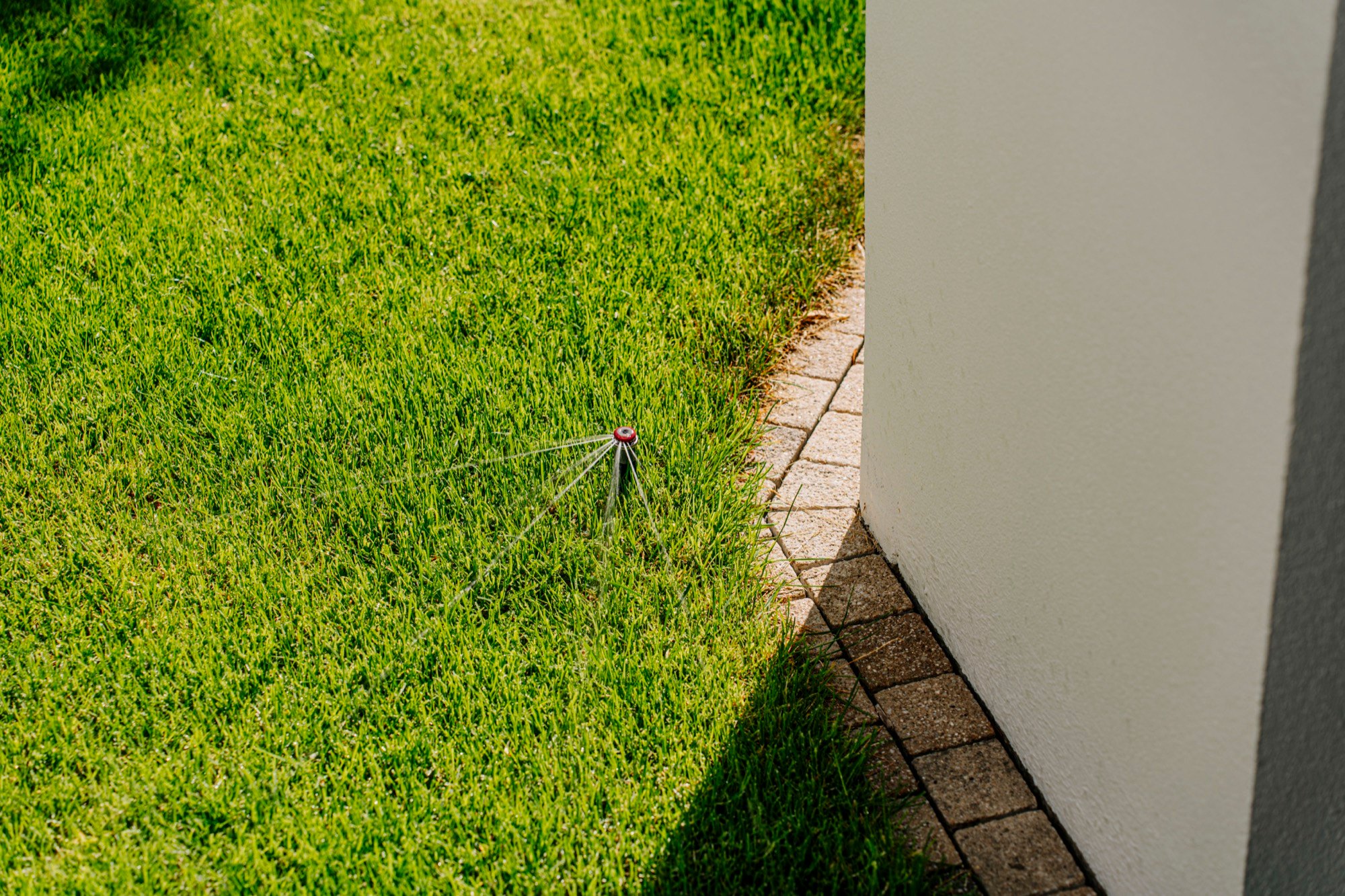 Sprinkler im gepflegten Rasen — Bewässerung im Bestandsgarten