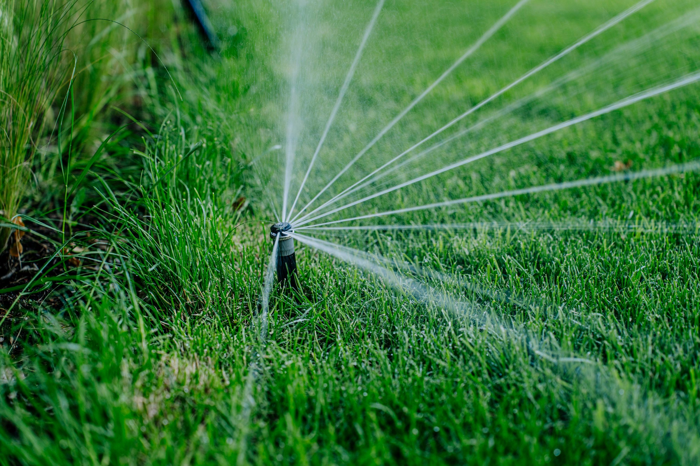 Bewässerung — Sprinkler im Gegenlicht